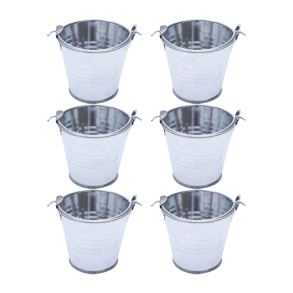 

6Pcs Mini Bucket Creative Iron Flowerpots Multipurpose Decorative Storage Containers Small Flower Planters for Home Desk