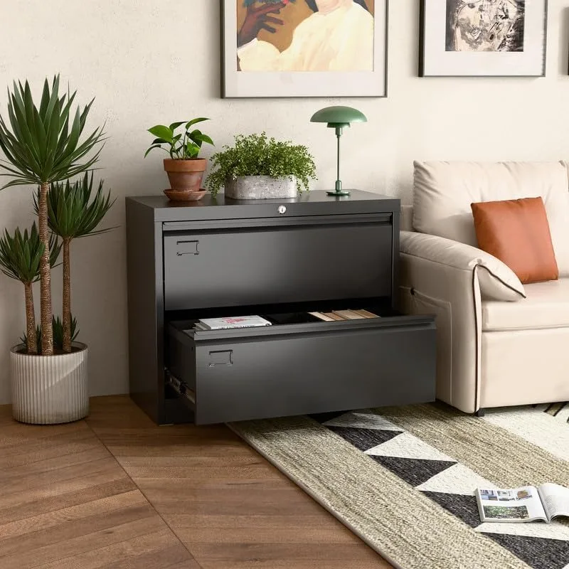 Aobabo 2 Drawer Wide Lateral File Cabinet, Metal Filing Cabinet with Lock, Suitable for Home Office School Hanging Files Letter