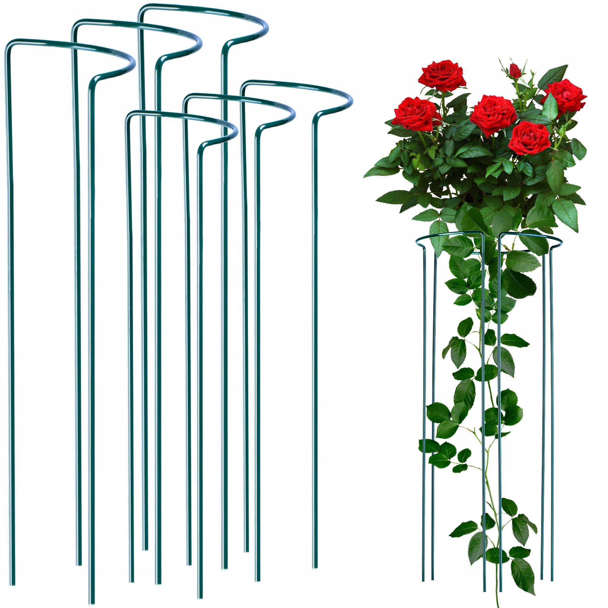 Kadax Bloem Plant Ondersteuning Omhelzen Metaal Groot Groen 3X90 + 3X115Cm