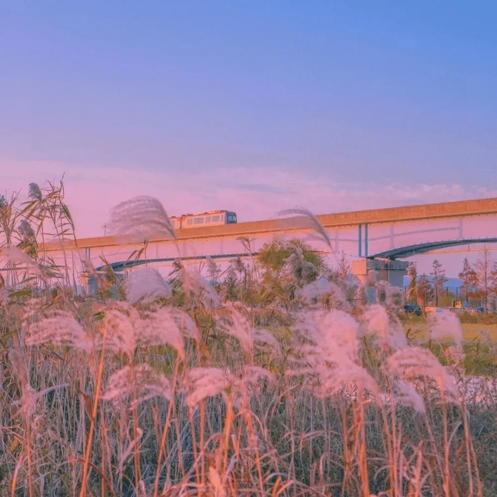 Daweikala 1.5 V 120…