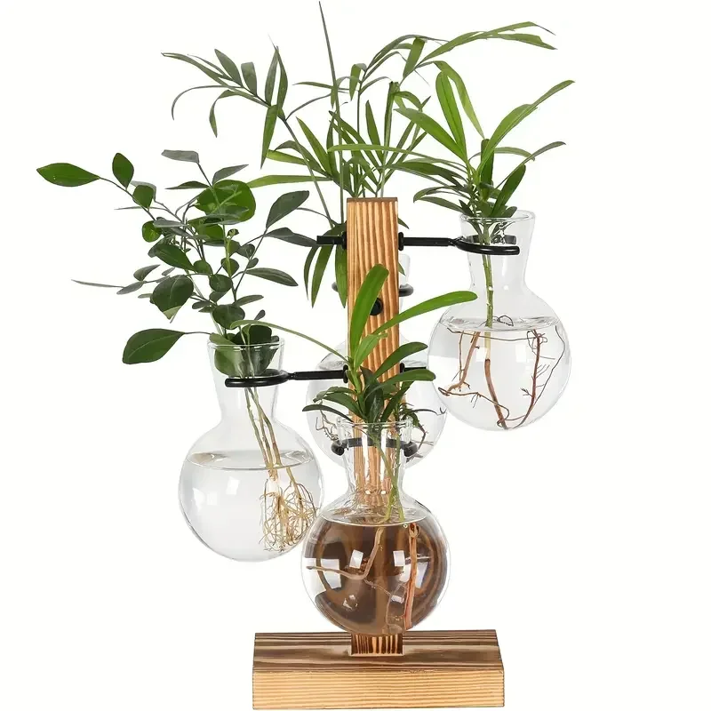 Hydroponic Plant Glass Vase, Modern Desktop Plant Terrarium Planter Bulb Water Planting Propagation Planters Hydroponics Plants