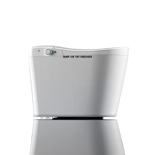 Fully Automatic Japanese-Style Smart Siphon Flushing Water Pressure Limit Instant Heating Remote Control S-trap Ceramic  Toilets