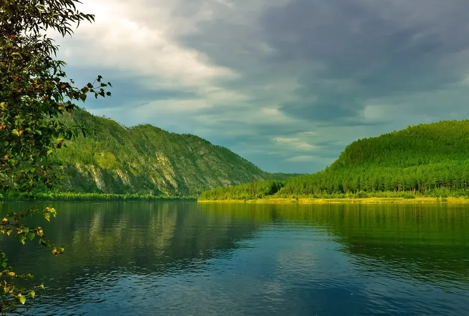 

Flywoo O4/O4 Pro FPV Coaxial Cable - 60/100/150/200mm Length Options