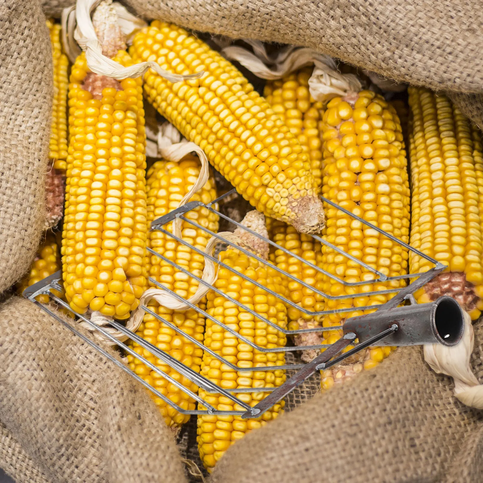 

Corn Shovel Set Heavy Duty Maize Harvesting Tool for Farm Garden Use Efficient Agricultural Equipment Sturdy Ergonomic Handle