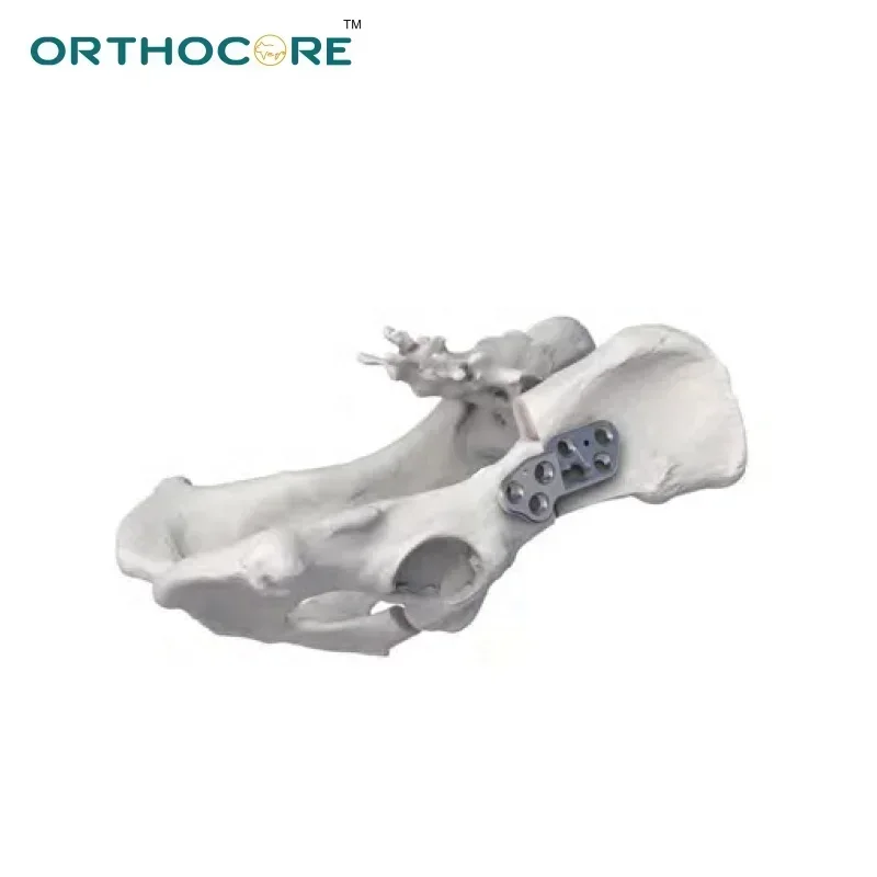 pet animal surgery  screws DPO TPO locking bone plate, Alpine veterinary  instruments, factory