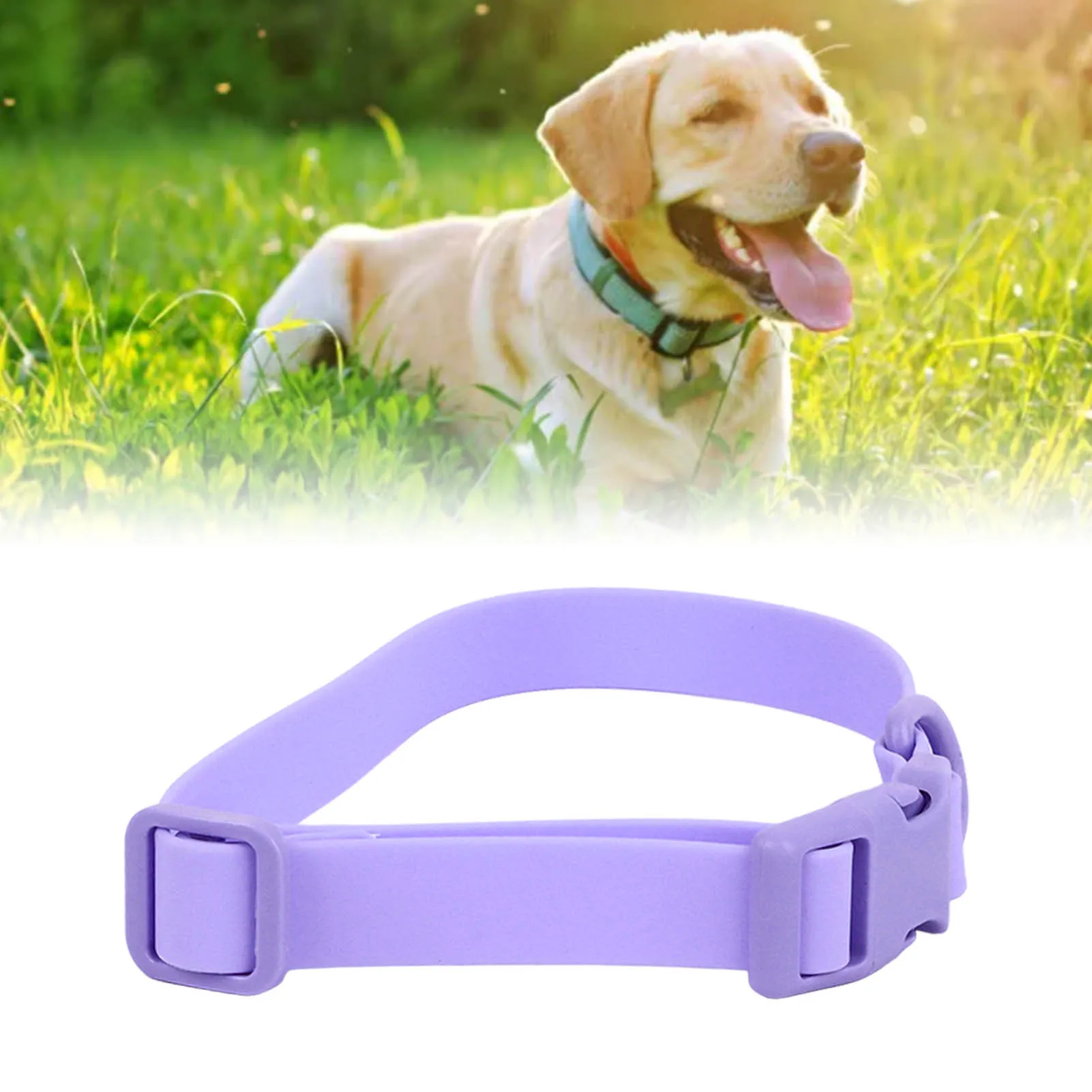 Adjustable Dog Collar Waterproof Rustproof Easy To Clean Soft Flexible Comfortable PVC Dog Collar For Dogs Cats Pets