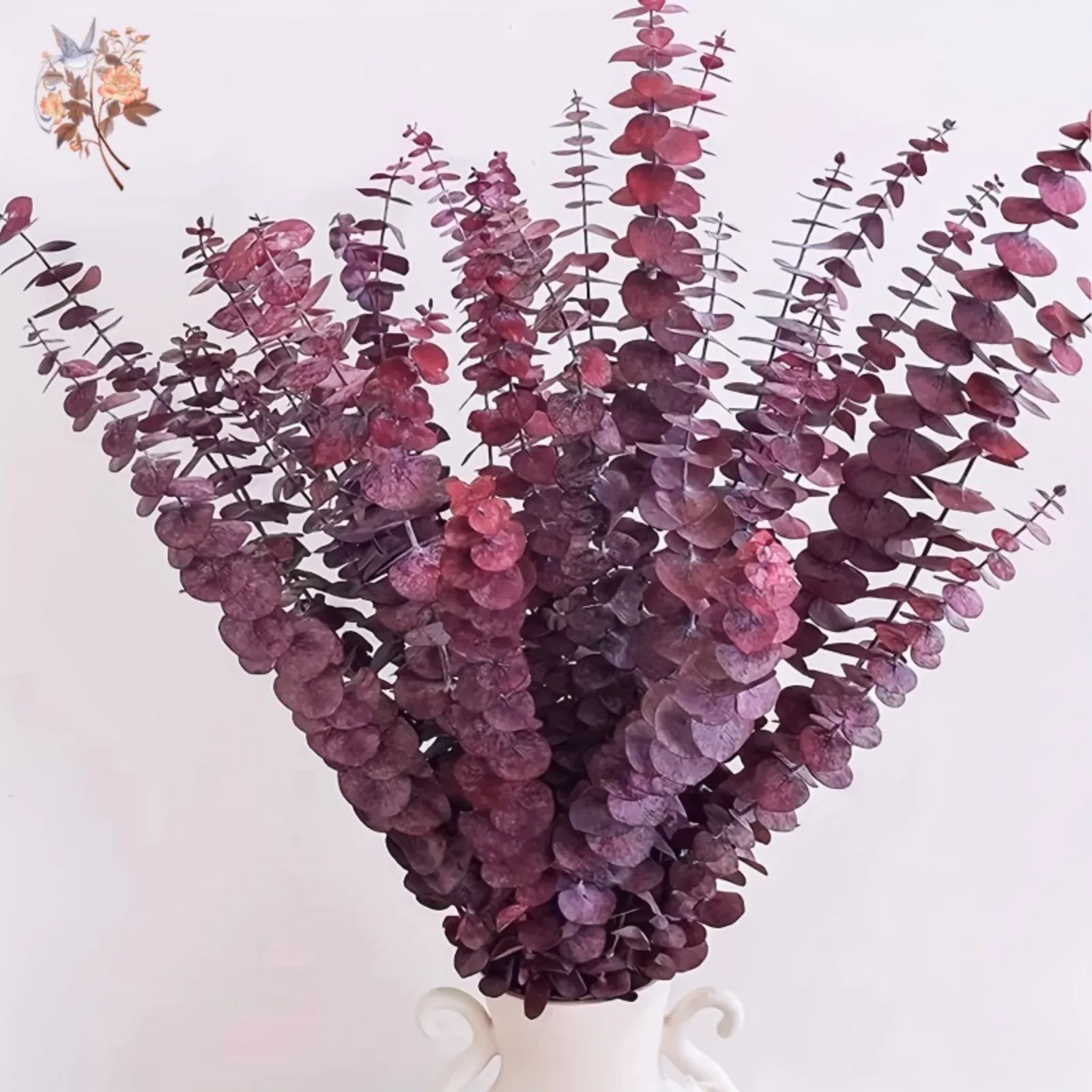 

12Pcs Real Eucalyptus Leaves Branch Dried Natural Preserved Green Plant for Home Wedding Party Decoration DIY Flower Arrangement