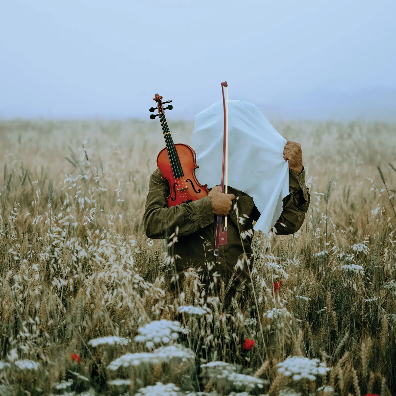 

Сменный конский волос для смычка для скрипки 1/4 размера, для практики, профессиональный, из монгольского волоса, яркий звук, мягкий на ощупь, для детей, для музыкальных инструментов