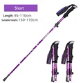 2Pcs Short Purple