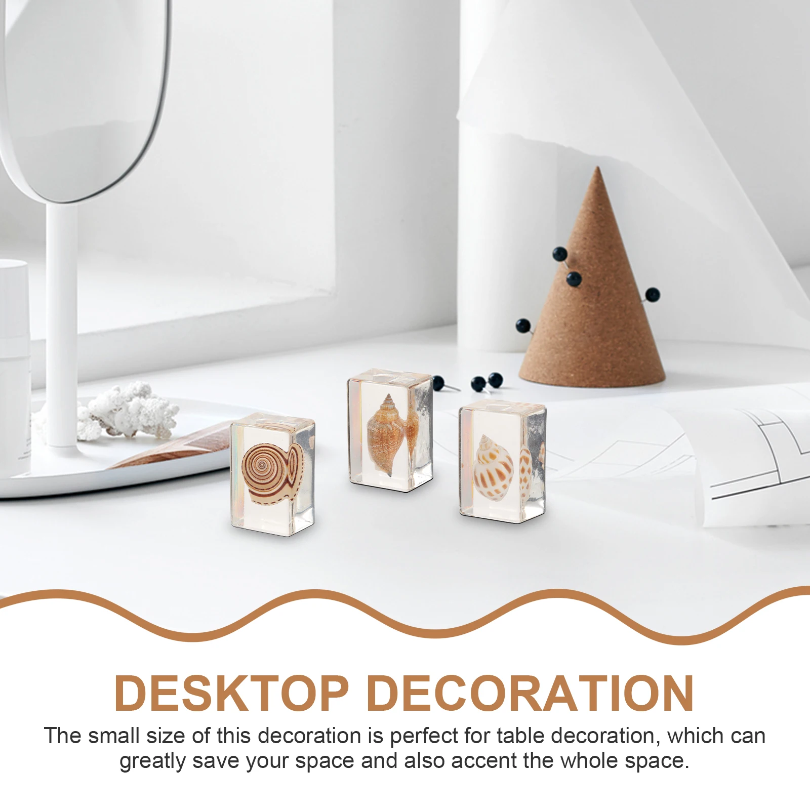 

6 Pcs Marine Biological Specimens Resin Adorn Decor Multi-function Seashell Kit Crafts Decorations Delicate Seashells