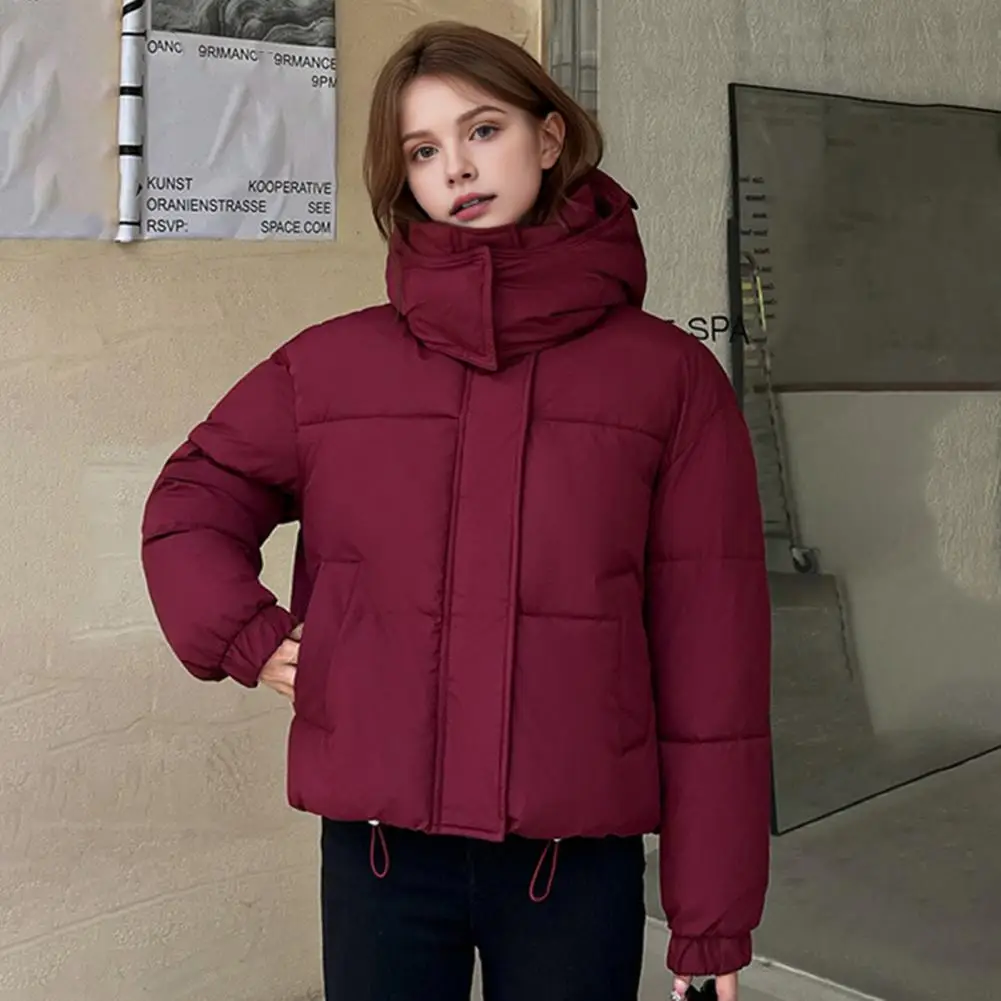 Winter Women's Cotton Jacket Stand Collar With Hood Neck Short Pocket Zipper Cotton Coat Solid Color Coat