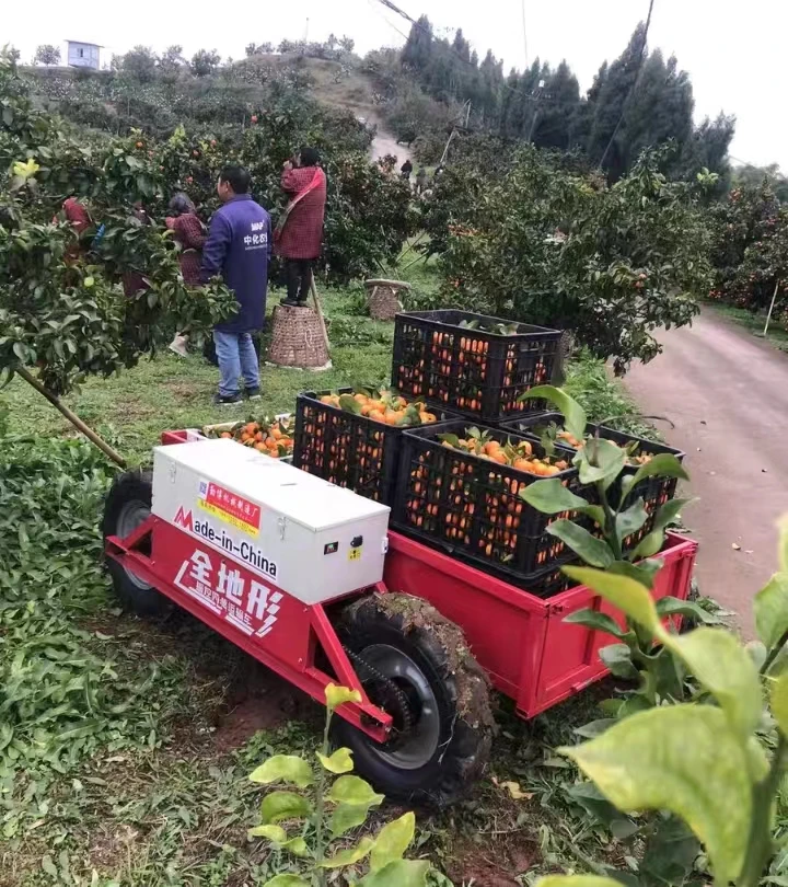 Tlf Wholesle Ll Ter… - image