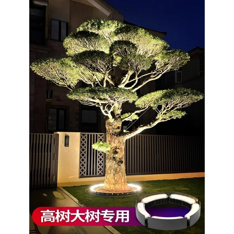 

Outdoor solar garden light