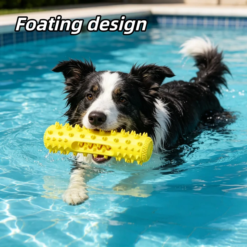 Bâtonnet à mâcher pour chiens, - Interactive Squeaky Plush Dog Toy avis et prix