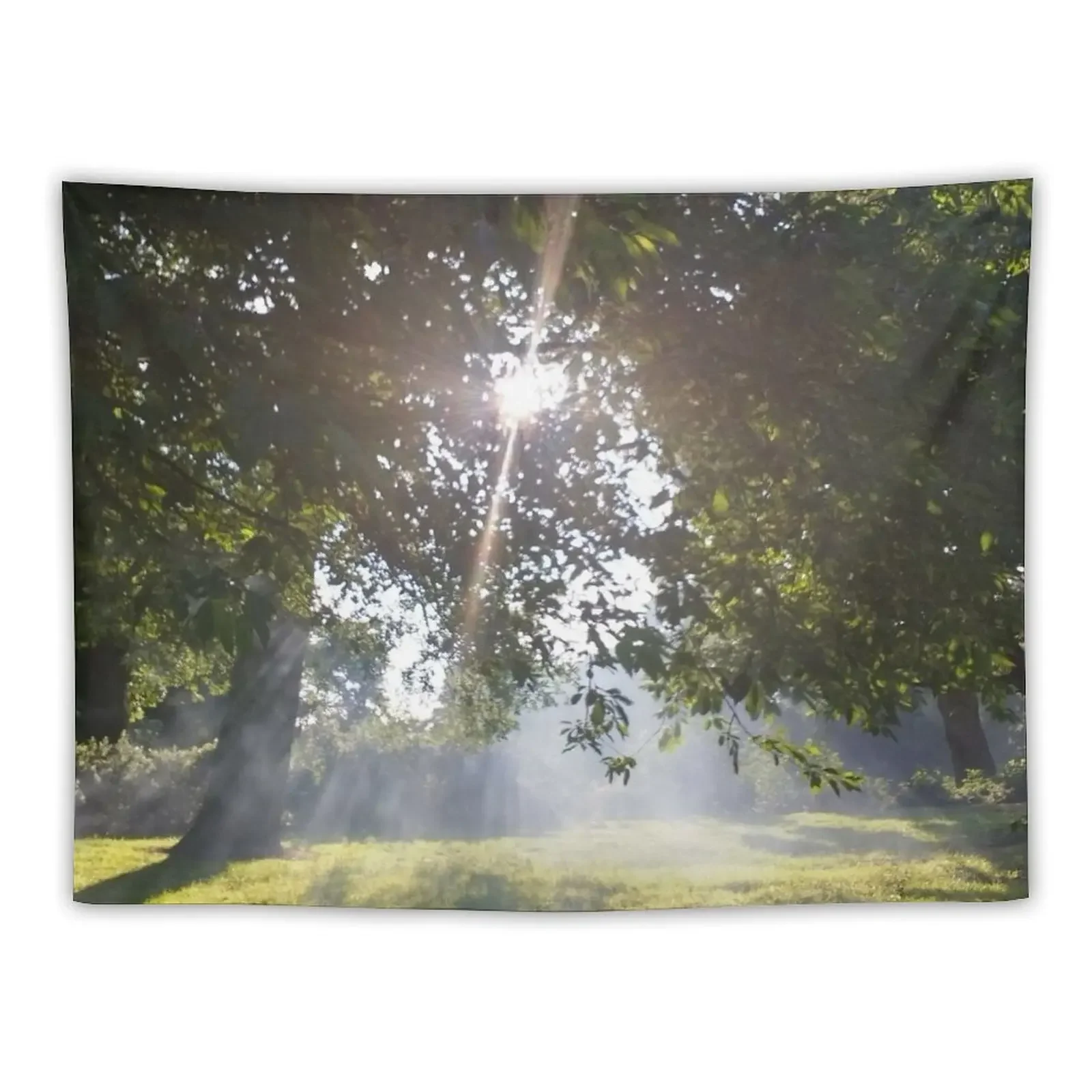 #11 |?| Smoky Tree Sun Rays - Landscape Shot (Pearson Park) Tapestry Decoration For Bedroom Tapestry