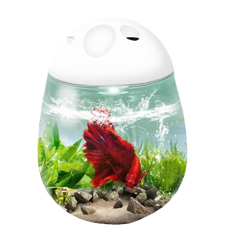 

Boutique desktop small fish tank