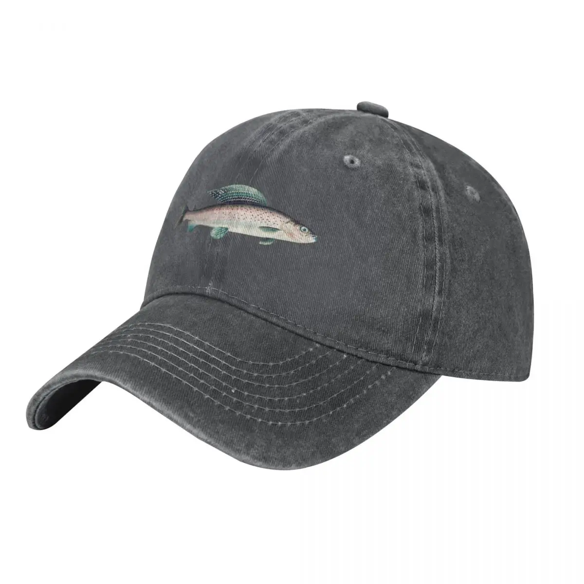 

Arctic Grayling fish chromolithograph Baseball Cap Trucker Hat Golf Cap Anime Hat New Hat For Girls Men's