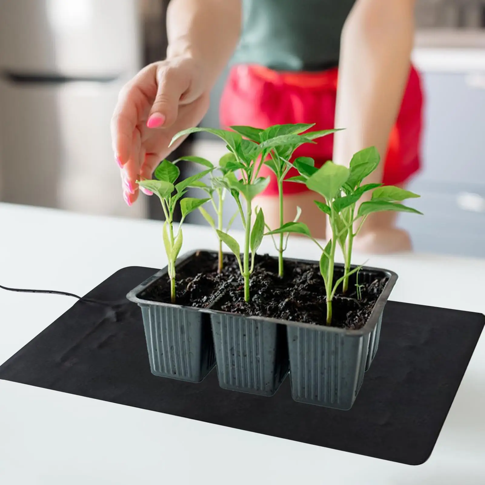 8.5W USB Seedling Heat Mats 3 Adjustable Temp regulating plant seedling heating pad For Soil insulation heat generation view 3