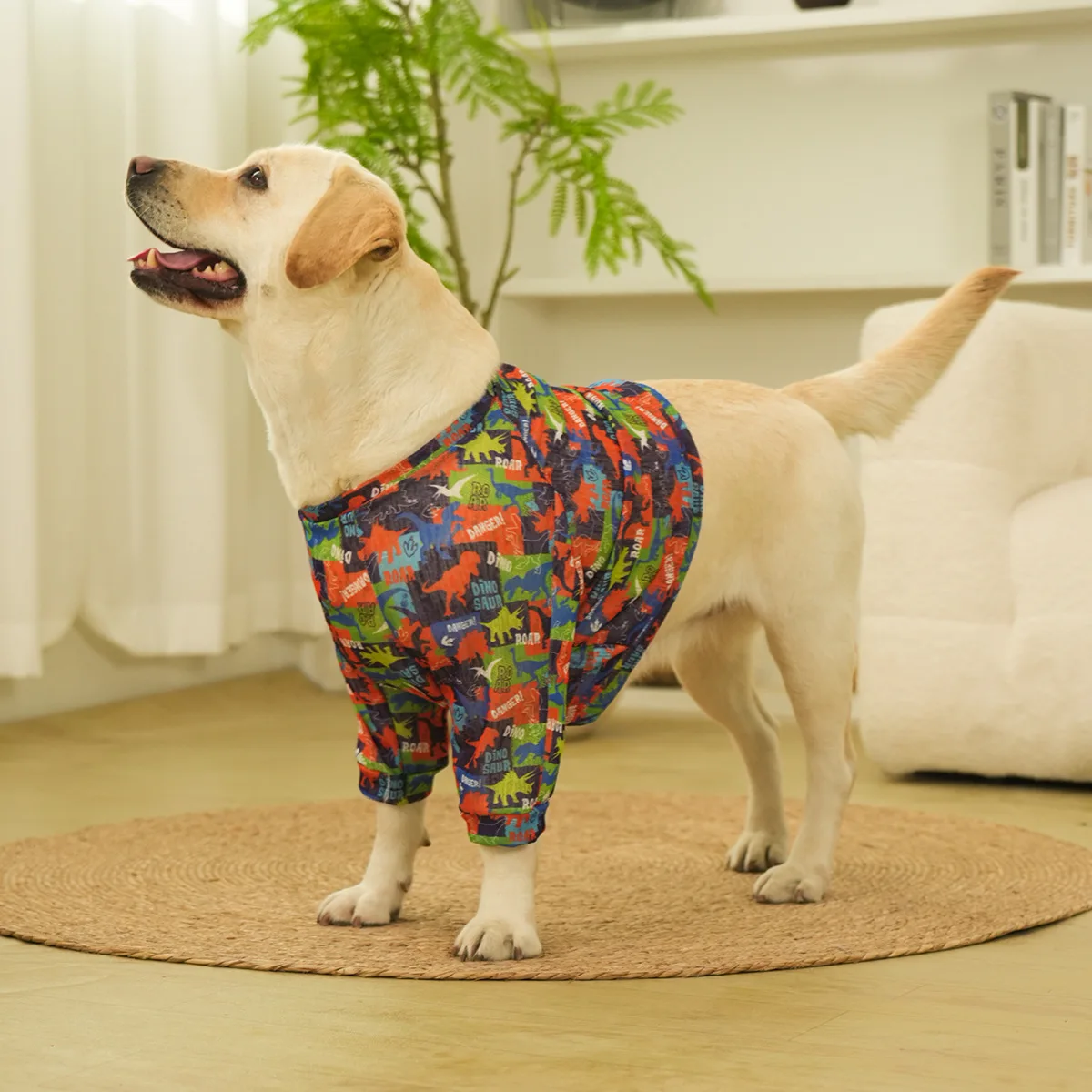 Popular Spring And … - image