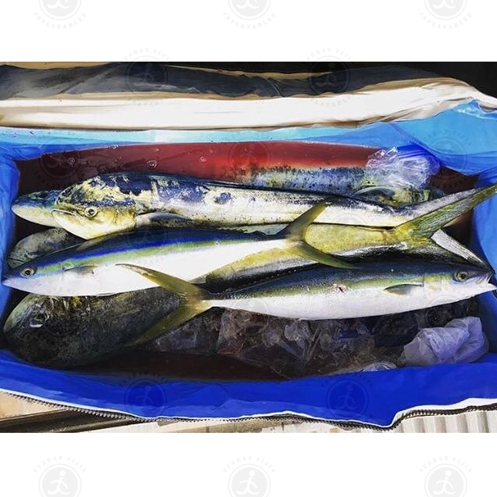 

OEM Customized High Quality Inflatable Fishing Insulated Cooling Box Storage Box For Sports And Picnic For Sale