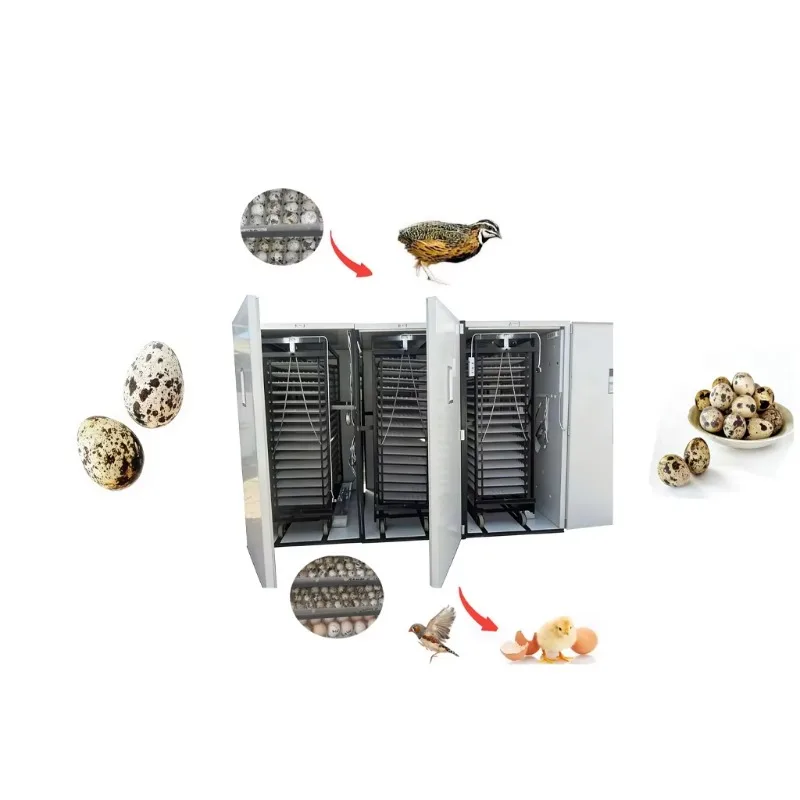 Industrial Automatic Egg Turner Customized Large Scale Farm Incubation 14784 Chicken 10584 Duck 37128 Quail Goose Eggs