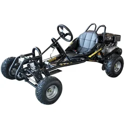 Heavy duty adult 270CC 9hp 60km/h Air-cooled outdoor Explore gasoline go karts drifting buggy