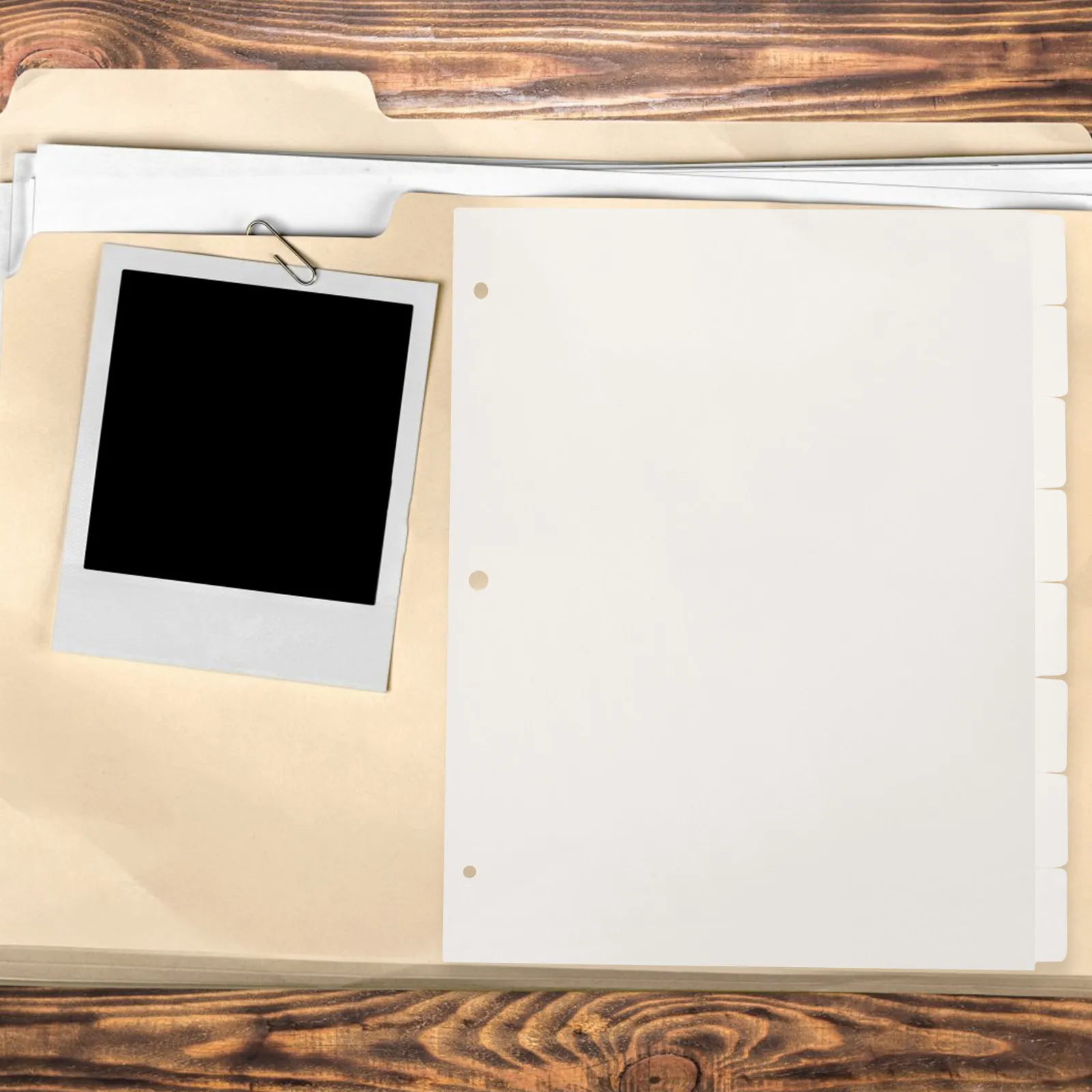 Loose Leaf Transparent Divider Sheets Premium PP Tear Resistant Divider Refills for Notebook Binder Tabs Office School Plastic