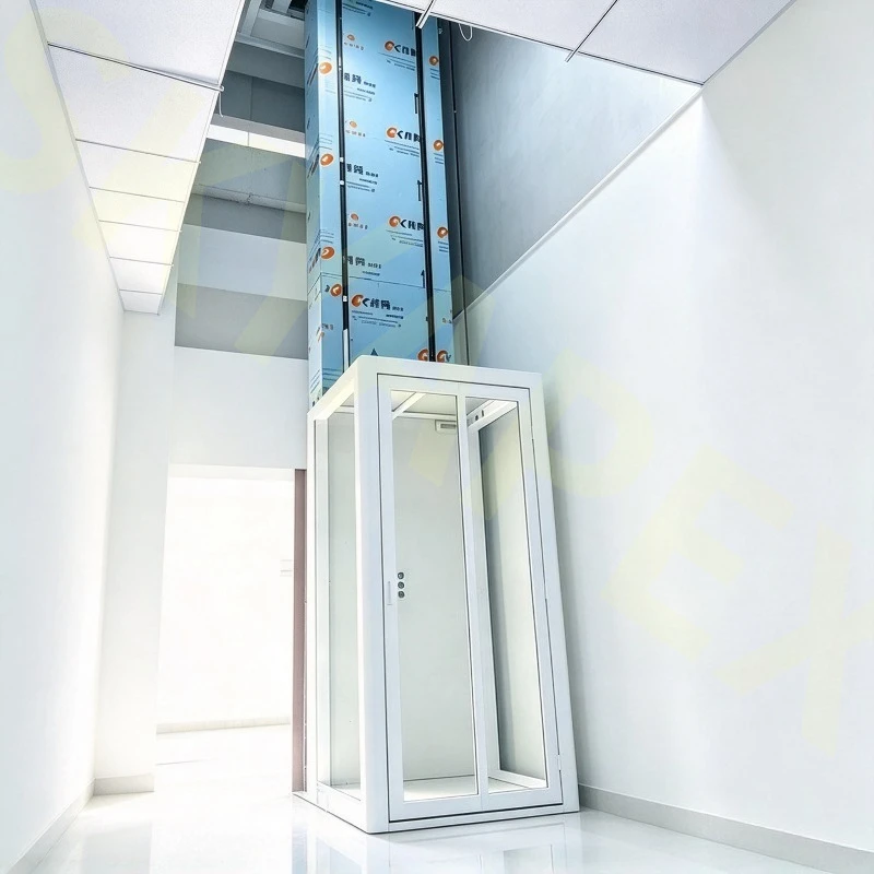 Customizable 2-10m Home Elevator Lift Wall Mount Electric Hydraulic Cargo Lift Space Saving Design Deposit Price Cabin Type