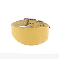 yellow collar