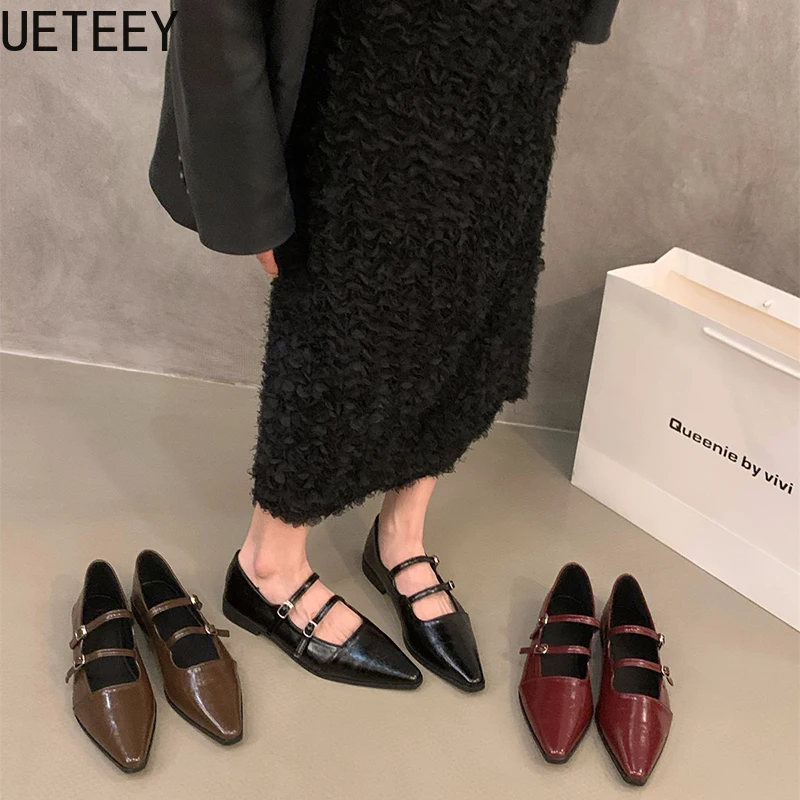 

Pointed Toe Women Mary Jane Shoes Fashion Shallow Buckle Shoes Ladies Casaul Dress Low Heel Leather Shoes