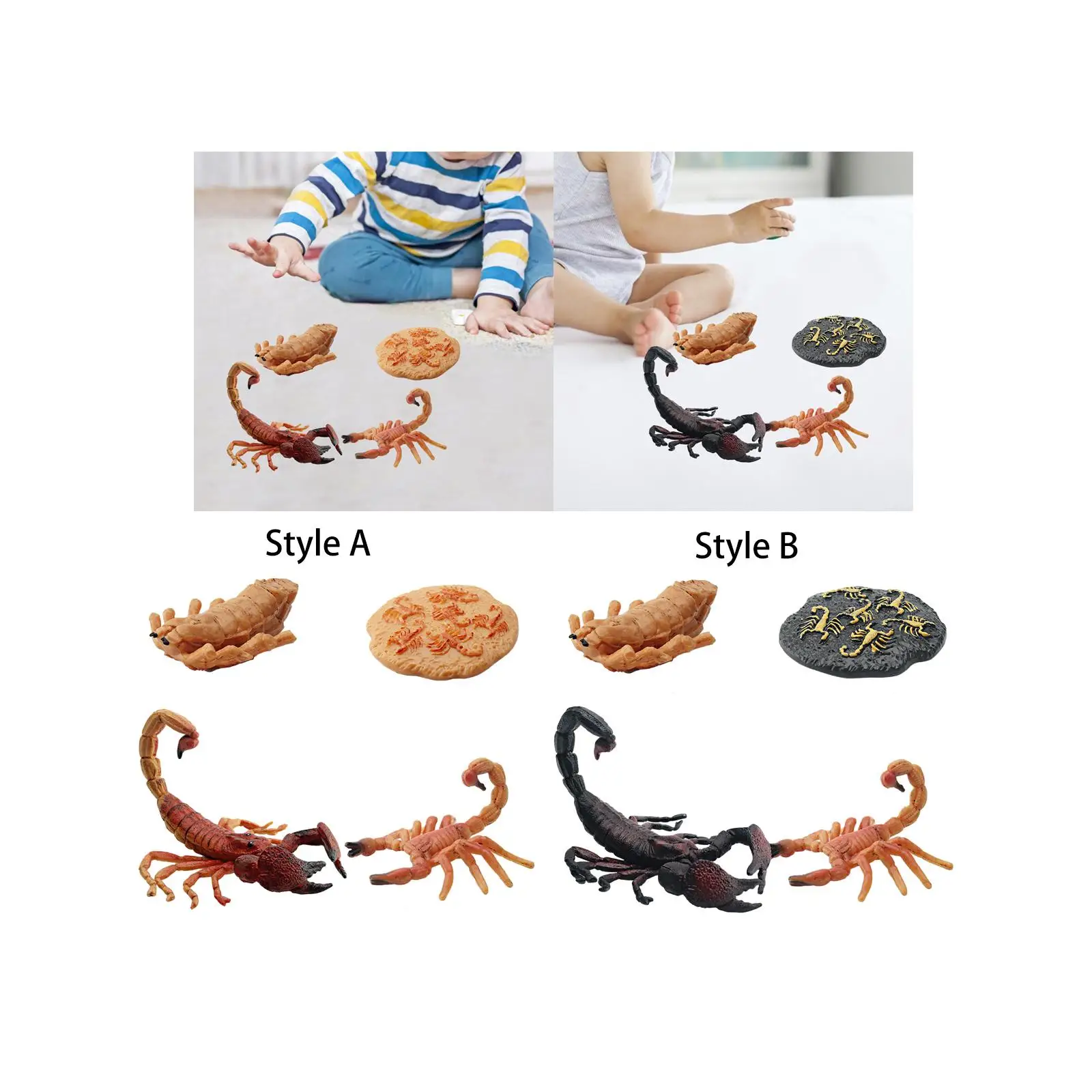 Scorpion Life Cycle Model for Teaching Materials Kids Education Storytelling