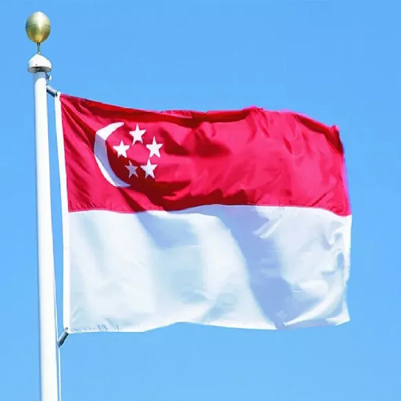 5 Pcs/lot Singapore National Flag 90x150cm Singapore Flag Republic of Singapore National Flag wholesale