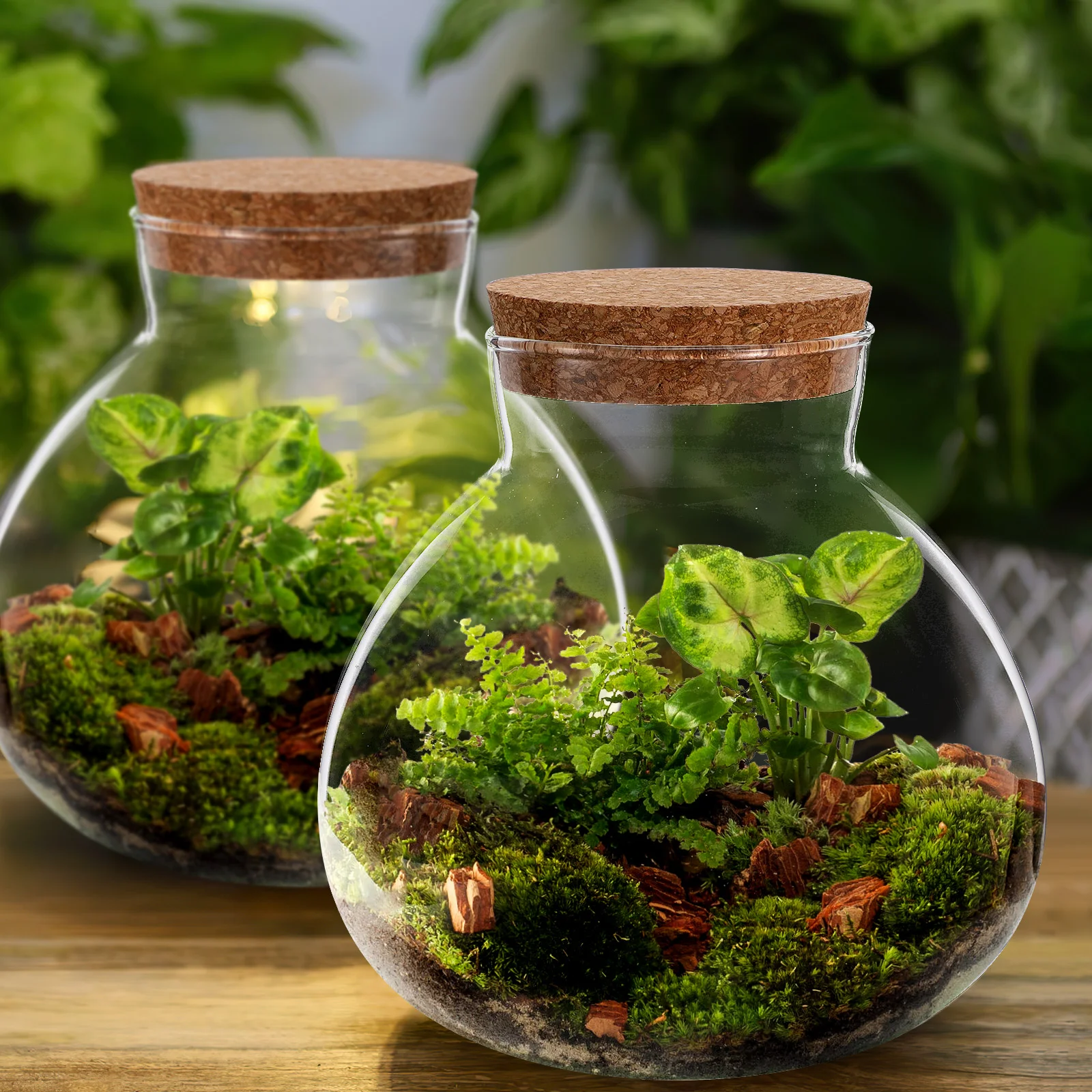 Micro Landscape Ecological Bottle Glass Flowerpot 14X15CM DIY Decorative Landscaping Container