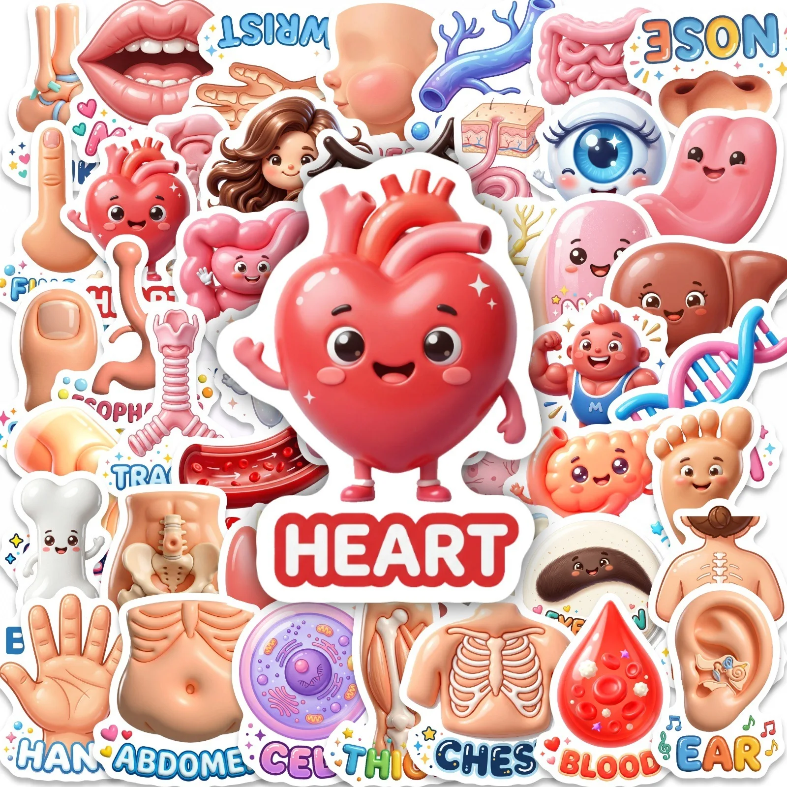 50 Pcs Cartoon Human Organ Educational Fun Stickers, Eco Waterproof for Desk Wardrobe Pen Holder Phone File Folder Decals