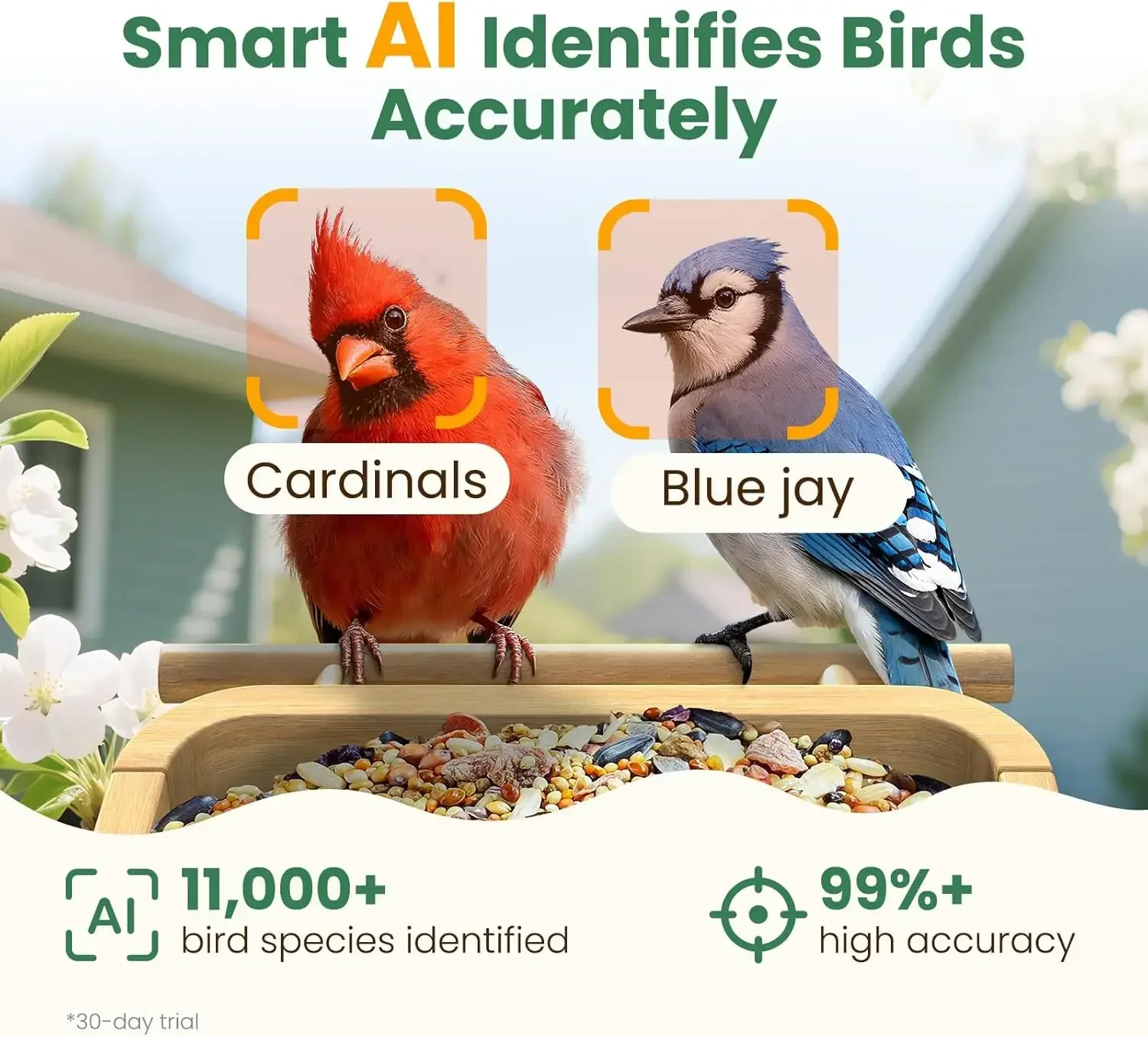 Smart Bird Feeder Camera Solar Panel Bamboo 2.5K UHD AI Identification Real time Videos Pictures Wireless Solar Powered Outdoor