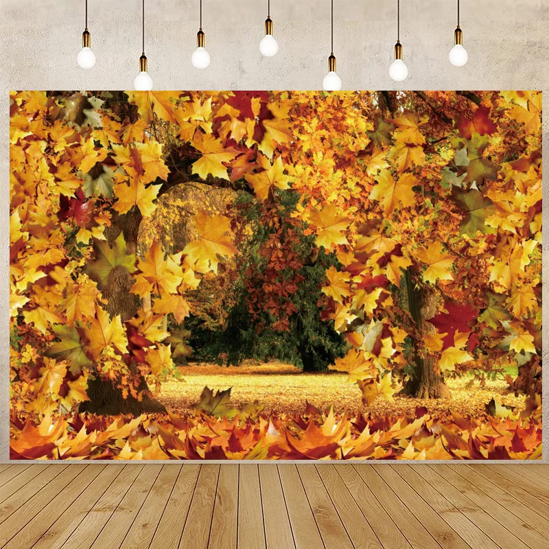 Arrière-plan de Photographie Abstraite, Feuilles d'Automne Jaunes, Forêt, pour Nouveau-né, ixPréChristophe, Portrait d'Enfants, Accessoires de Studio Photo