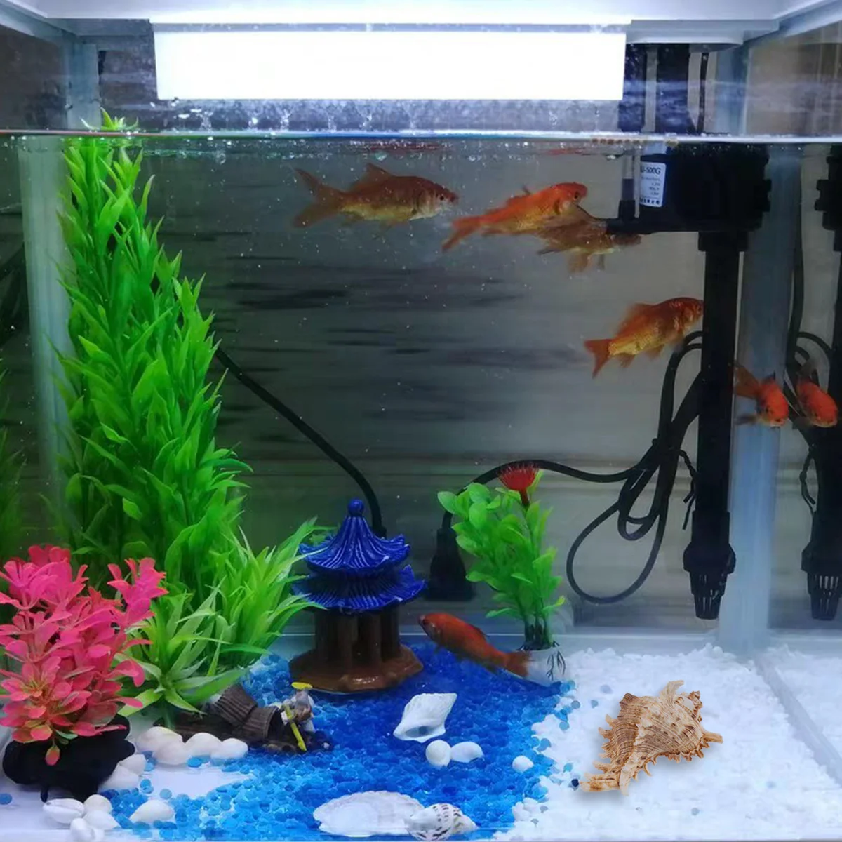 

1Pcs Natural Shell Conch Aquarium Ornament 11-12cm Fish Tank Decoration Beautiful Landscape Accessory Shell Ornament