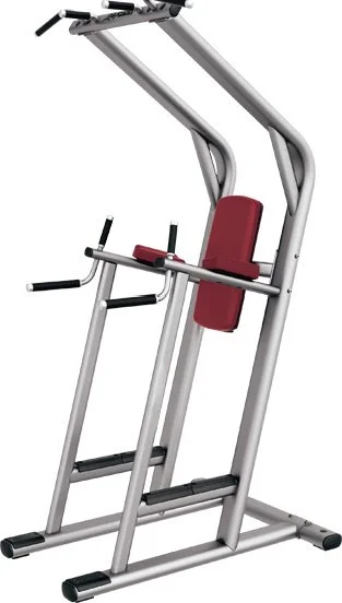 

Strong Metal Gym Fitness Machines Chin Dip and Leg Raise Station