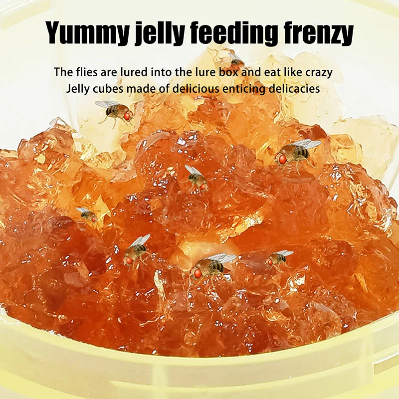 Non-Toxic Fruit Fly Killer Trap with Powerful Bait, Attracts & Eliminates Flies for Kitchen Use