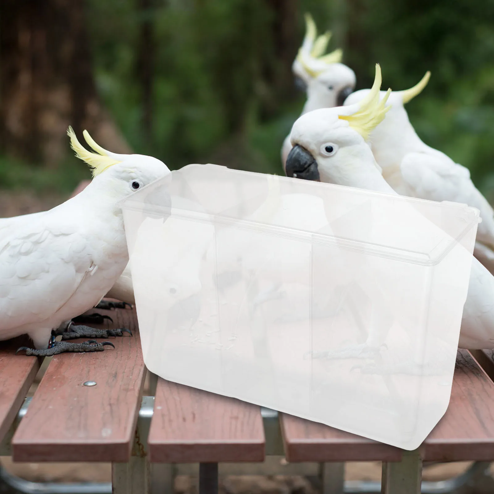 

Bird Feeder Bowl Sift-Proof Lightweight Plastic Bird Cage Food Box For Parrot Canary Quail Pigeon Indoor Use