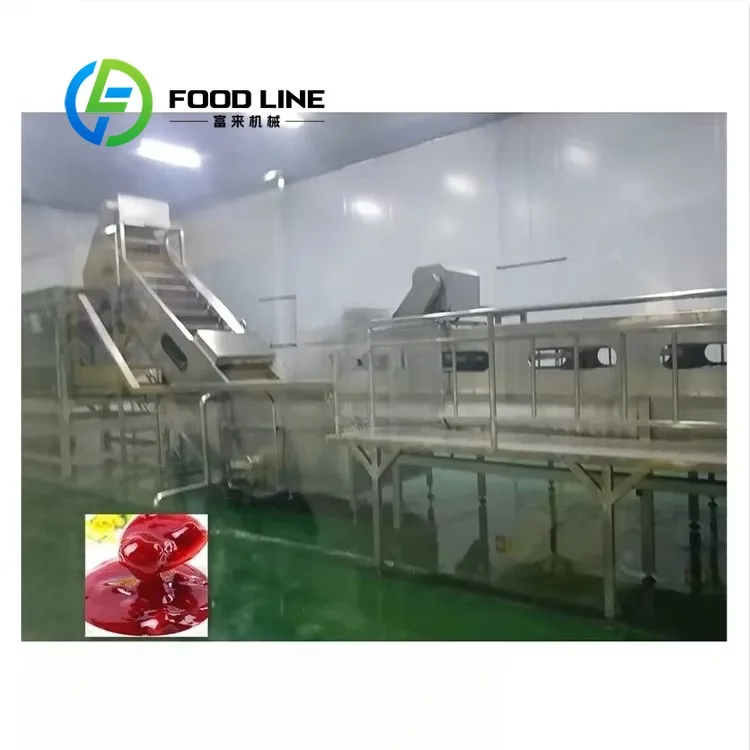 Tomato Paste Manufacturing Production Line Hygienic Design Equipment For Food Grade Tomato Sauce And Ketchup Production