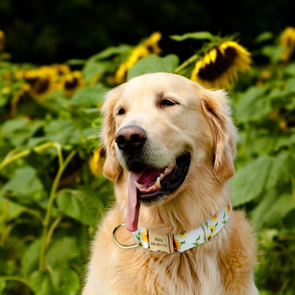 Personalisiertes Nylon-Hundehalsband mit Blumen- und Biene-Aufdruck, Welpenhalsbänder, kostenlose individuelle Haustier-ID-Halskettenhalsbänder für kleine große Hunde, Chihuahua – Detail 18