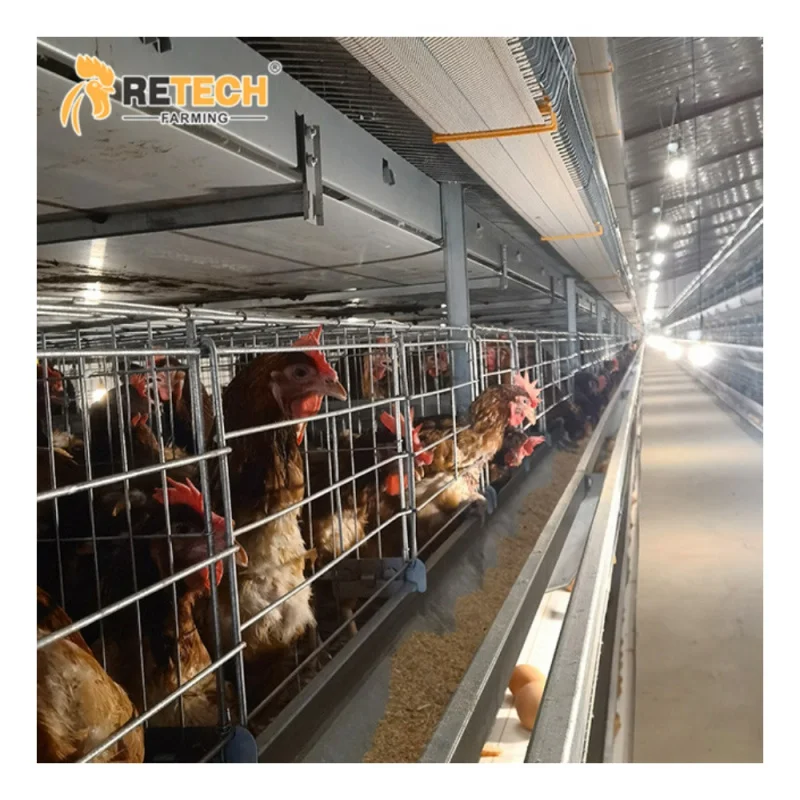 自動鶏舎ケージ養鶏設備