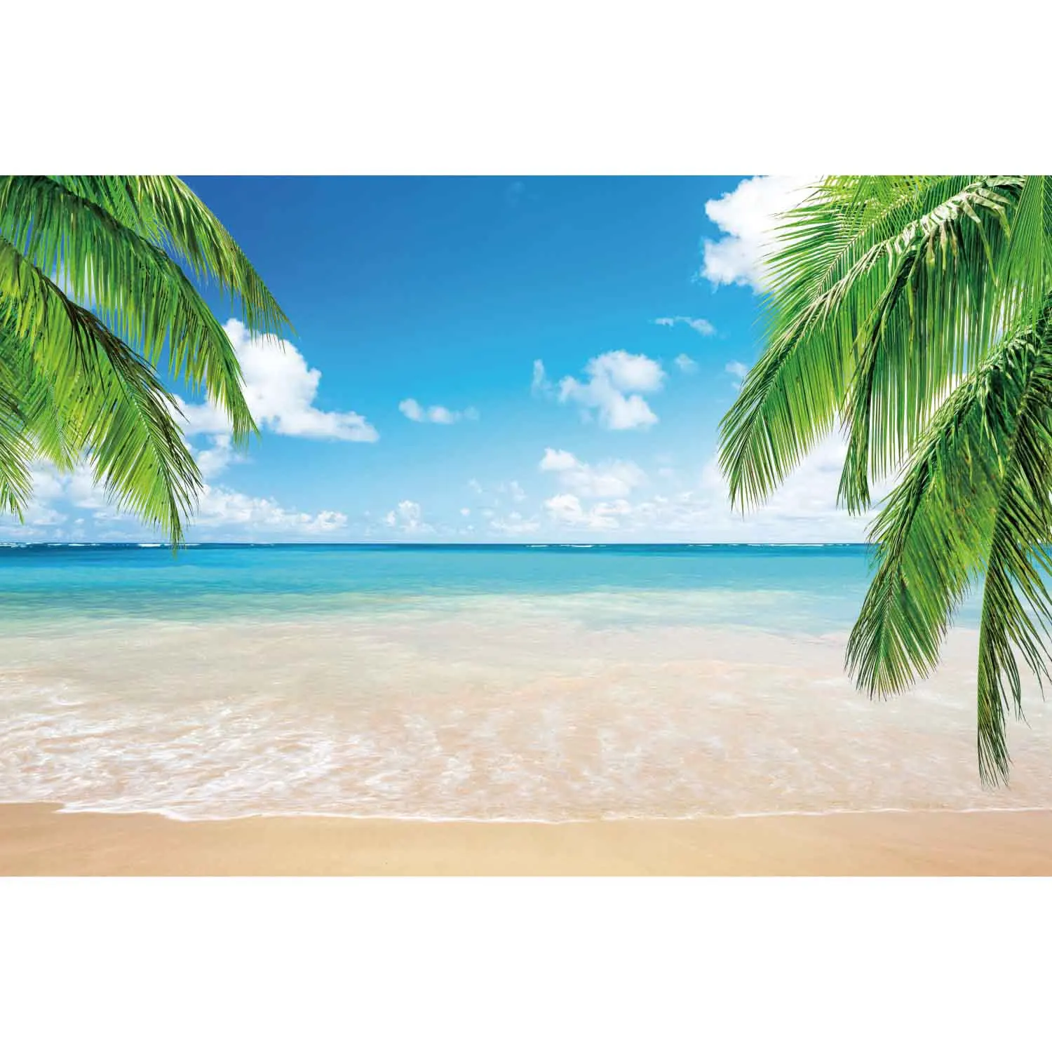 Blue Ocean Beach Backdrop Tropical Summer Photography Background Sunset Seaside Palm Tree Wave Sand Photobooth Photozone Props