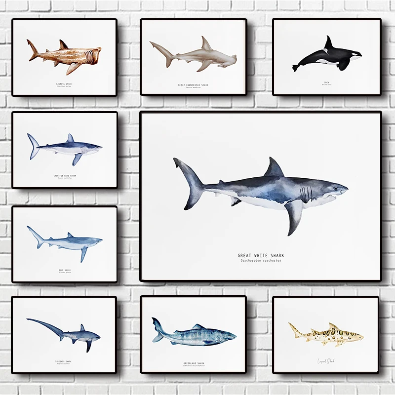 Pósteres modernos de tiburones, tortuga, ballena, impresiones en acuarela, organismo marino, pintura en lienzo, imágenes artísticas de pared, decoración de la habitación del hogar