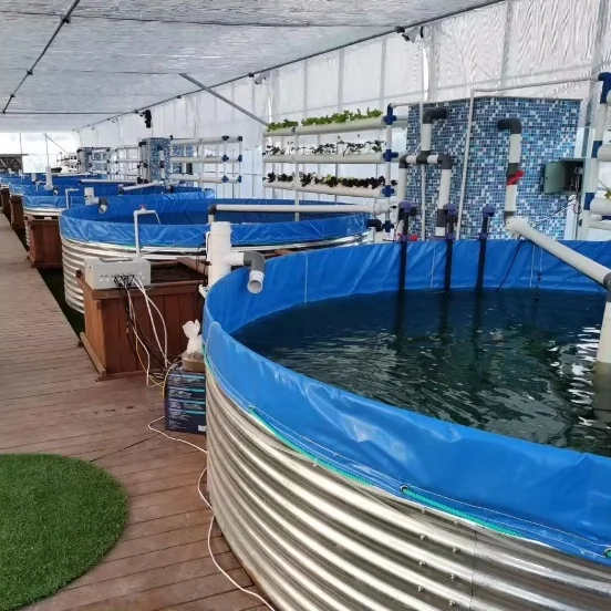 AIROW Recirculating Aquaculture Fish Tank System Galvanized Steel Sheet Tarpaulin Tilapia Biofloc Fish Farming Tank Equipments
