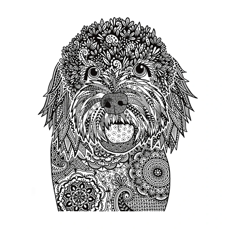 Happy Cockapoo Tran…