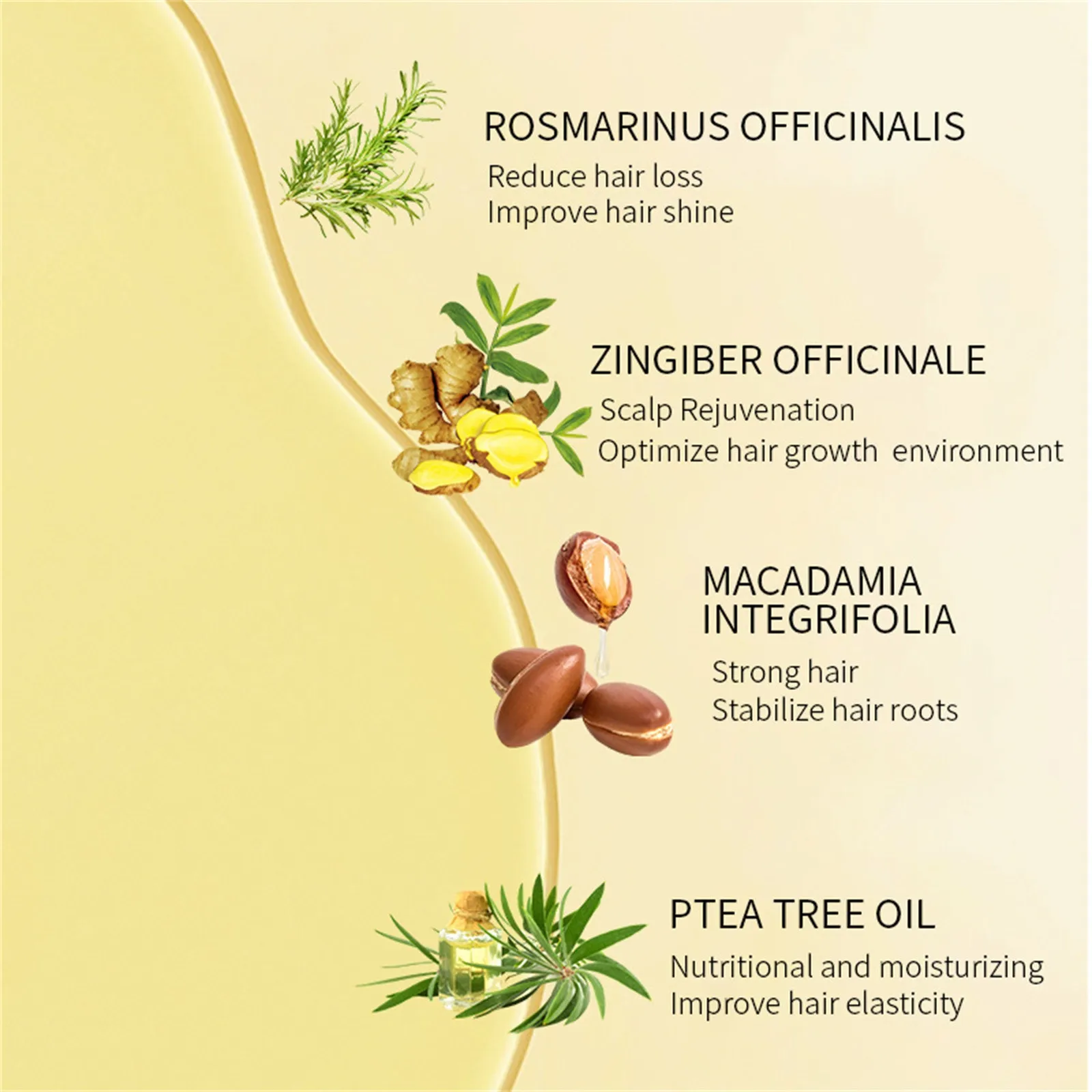 Rosemary Hair Growth Essential Oil Nourishes Hairs Roots Bifurcation Of Improvement Solid Repairing Dense Prevent Hair Loss