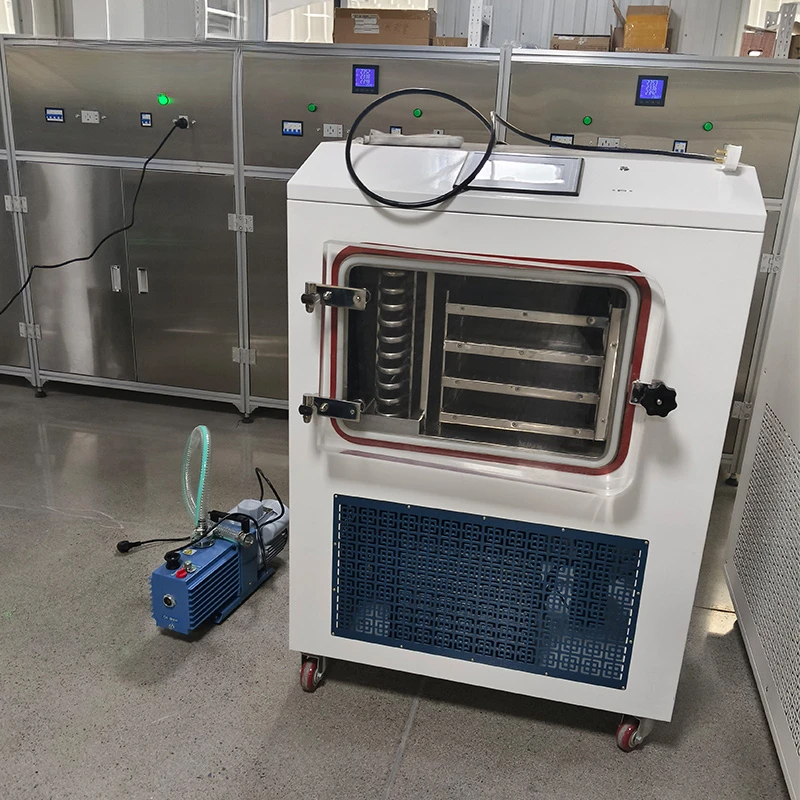 Home Dryer Freeze Mini Vacuum Freezing Drying Machine