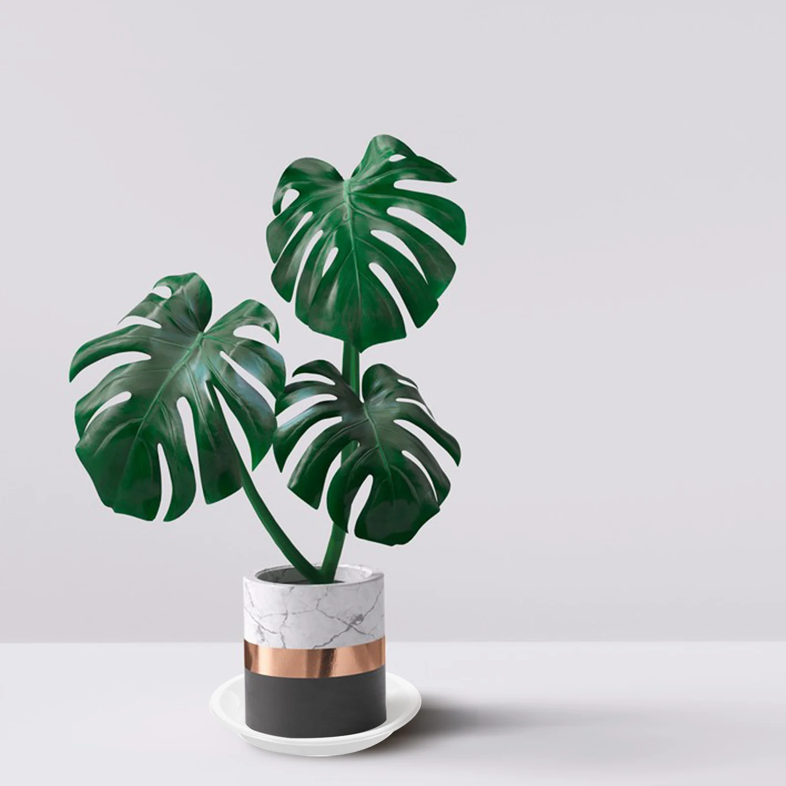 10Pcs Plastic Plant Saucers Durable Water Catcher Trays for Potted Plants Non-Slip Design Garden Accessories Planting Tray